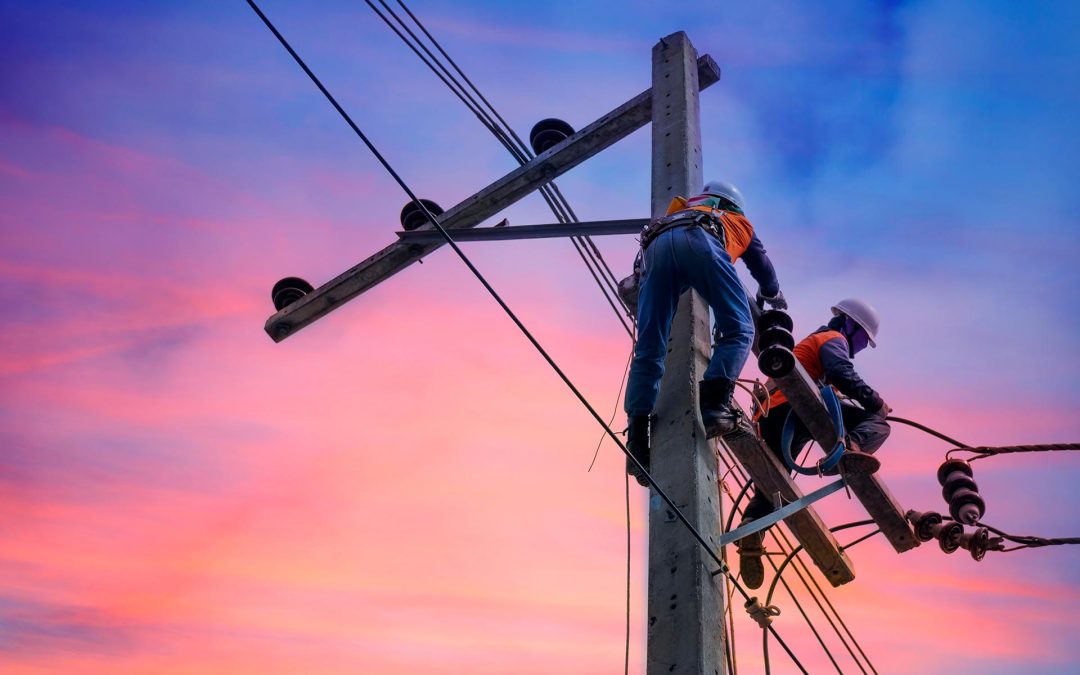 Sharing and Protecting the Value of Public Power