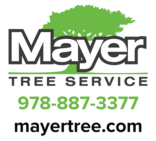 MTS-logo